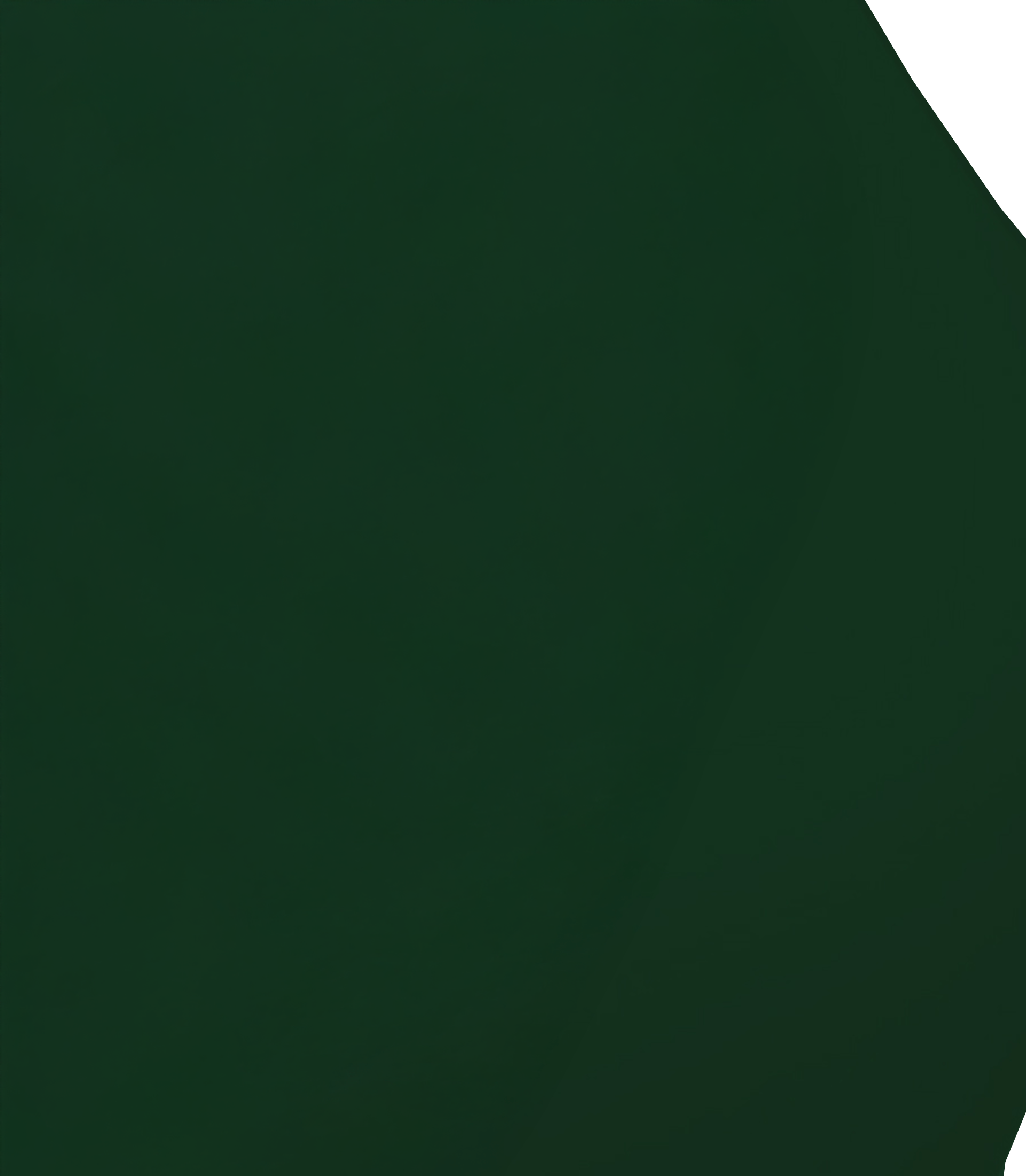 Grüne Welle